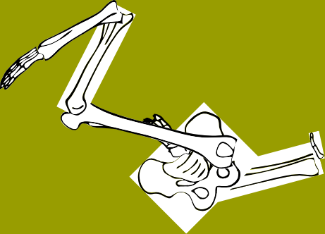 Dem bones dem bones dem – dry bones!
