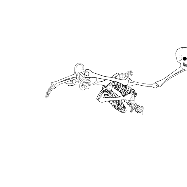Dem bones dem bones dem – dry bones!