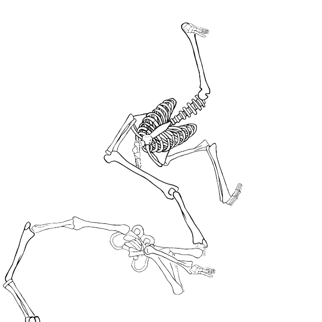 Dem bones dem bones dem – dry bones!