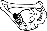 Dem bones dem bones dem – dry bones! Dem bones dem bones dem – extra bones!