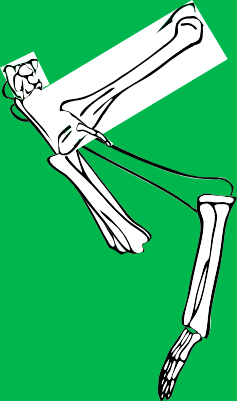 Dem bones dem bones dem – dry bones!