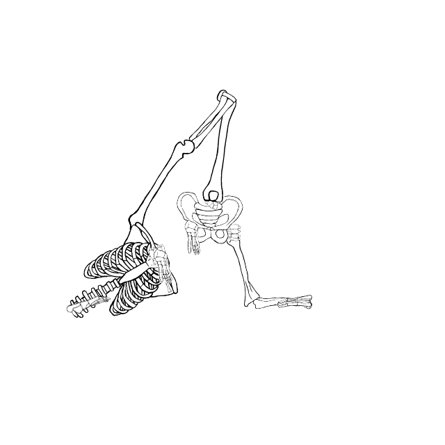 Dem bones dem bones dem – dry bones!