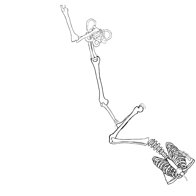 Dem bones dem bones dem – dry bones!