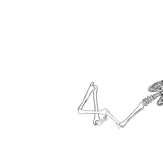 Dem bones dem bones dem – dry bones!