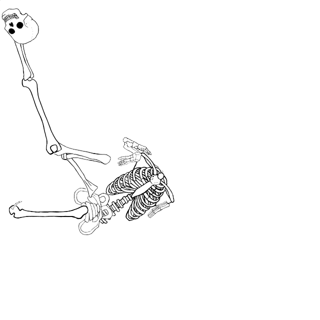Dem bones dem bones dem – dry bones!