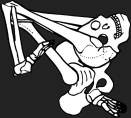 Dem bones dem bones dem – dry bones!