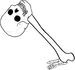 Dem bones dem bones dem – dry bones!