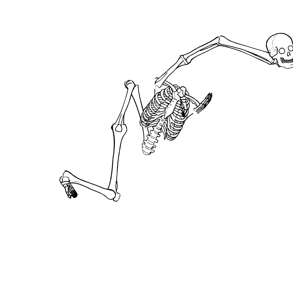 Dem bones dem bones dem – dry bones!