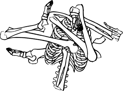 Dem bones dem bones dem – dry bones! Dem bones dem bones dem – extra bones!
