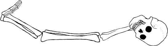 Dem bones dem bones dem – dry bones!