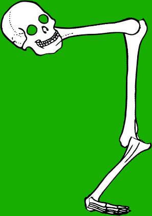 Dem bones dem bones dem – dry bones!