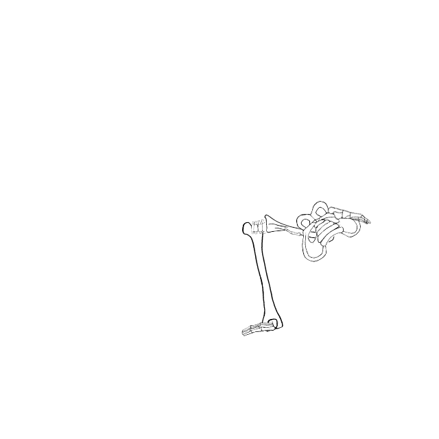Dem bones dem bones dem – dry bones!