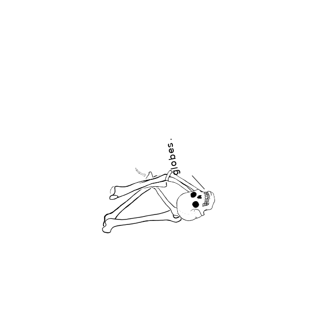 Dem bones dem bones dem – dry bones!