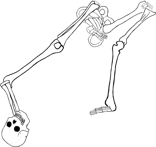 Dem bones dem bones dem – dry bones!