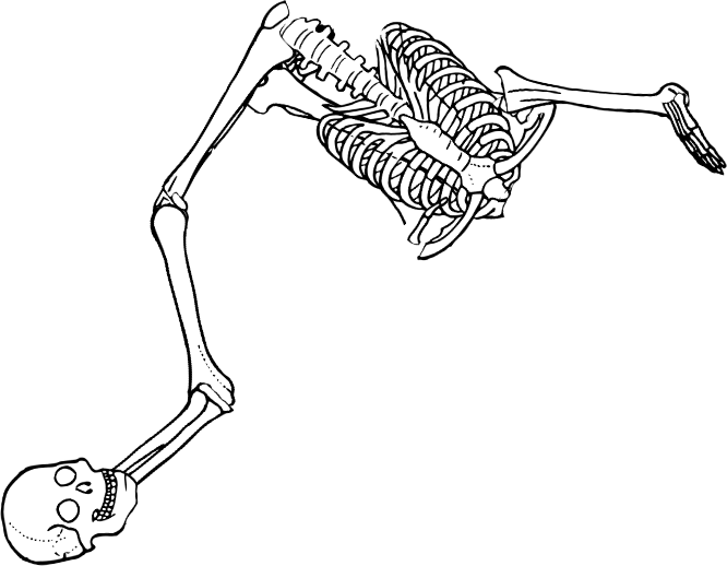 Dem bones dem bones dem – dry bones!