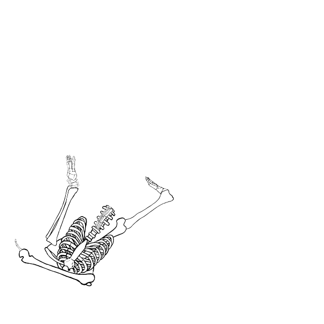 Dem bones dem bones dem – dry bones!