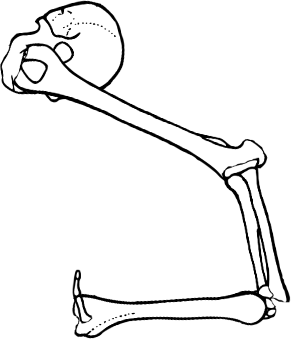 Dem bones dem bones dem – dry bones!
