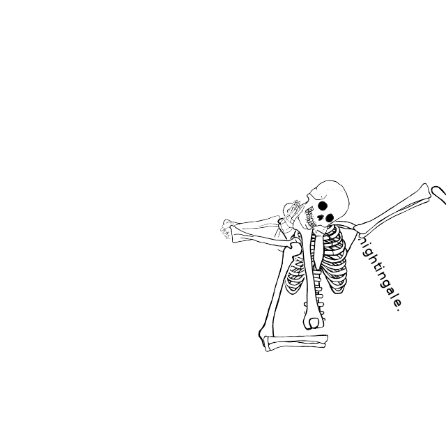 Dem bones dem bones dem – dry bones!
