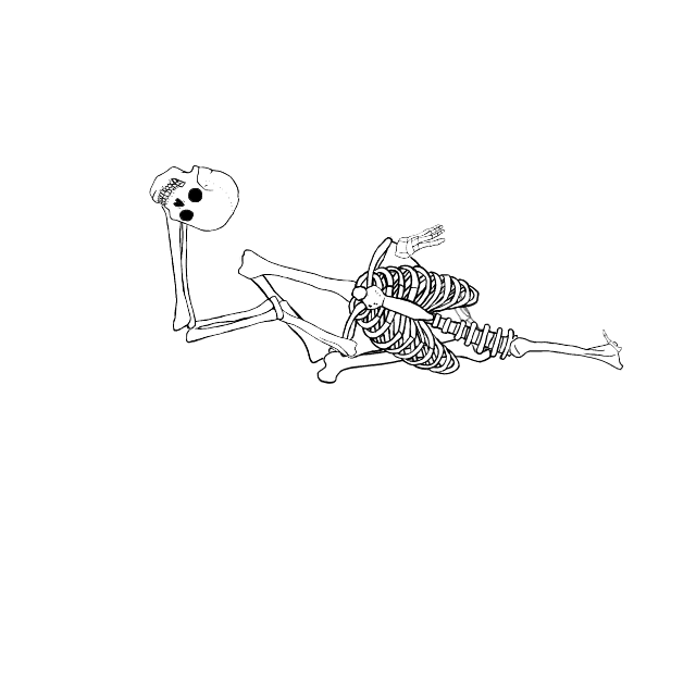 Dem bones dem bones dem – dry bones!