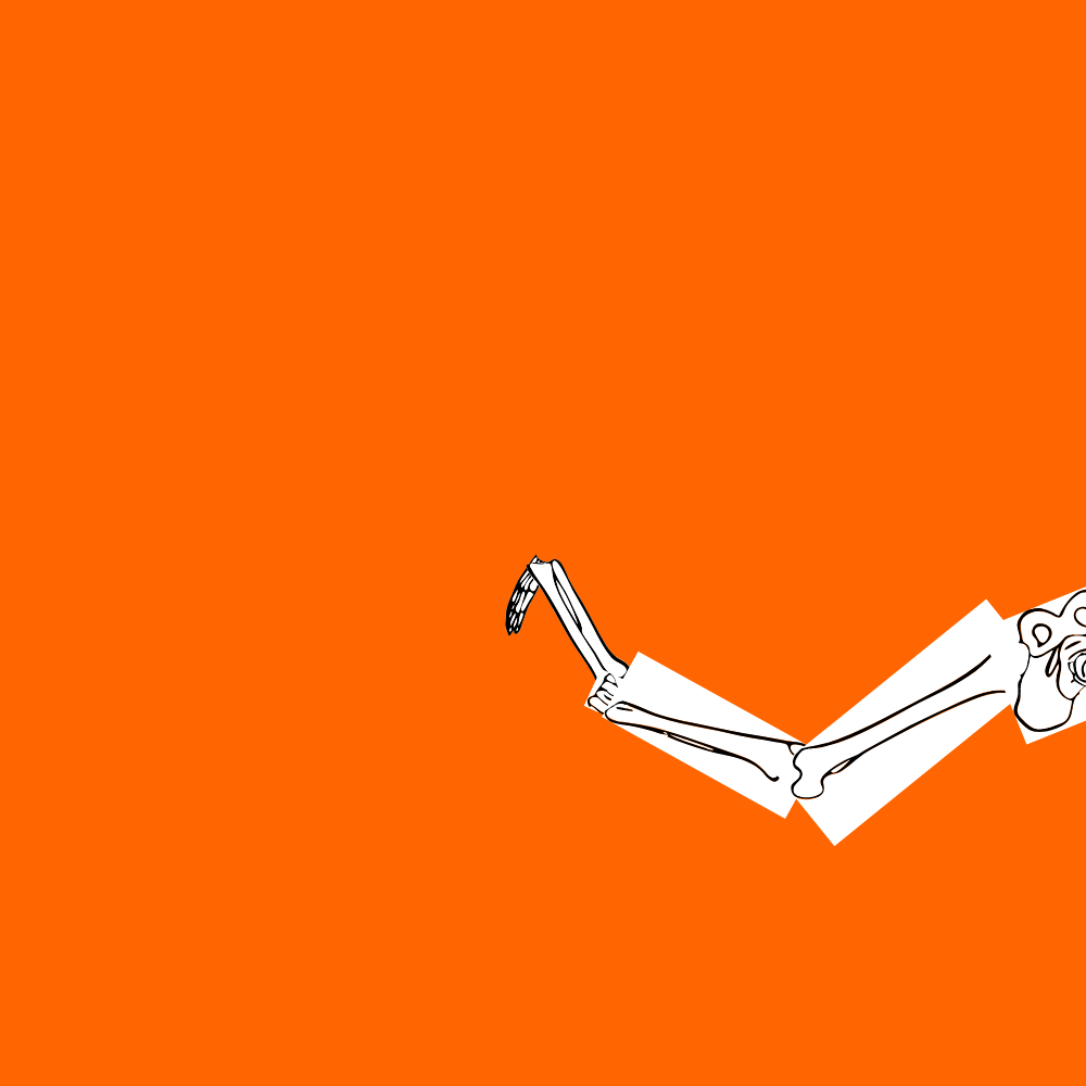 Dem bones dem bones dem – dry bones!