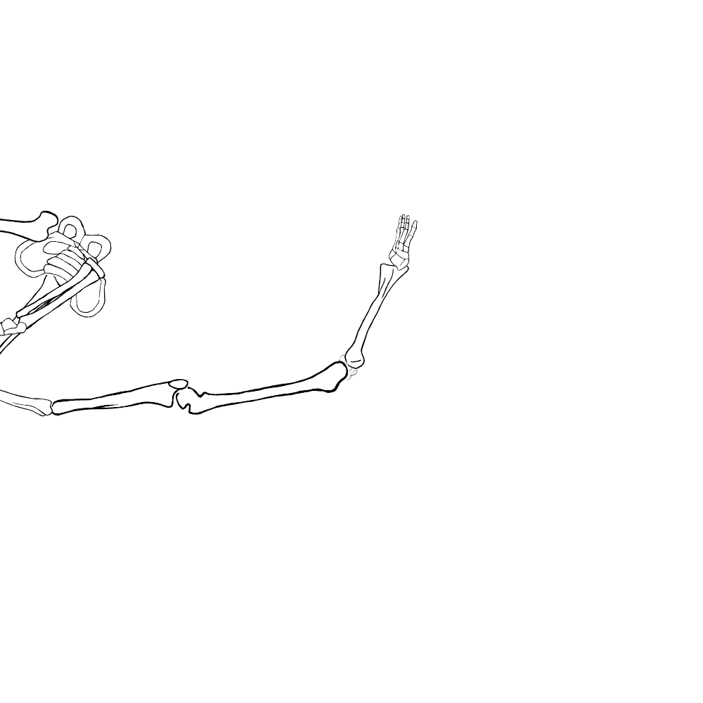 Dem bones dem bones dem – dry bones!