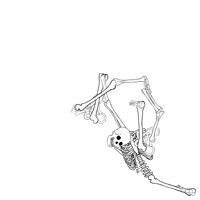 Dem bones dem bones dem – dry bones!