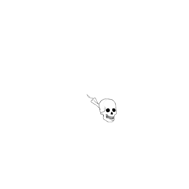 Dem bones dem bones dem – dry bones!