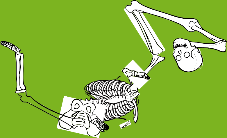 Dem bones dem bones dem – dry bones!