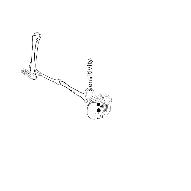 Dem bones dem bones dem – dry bones!