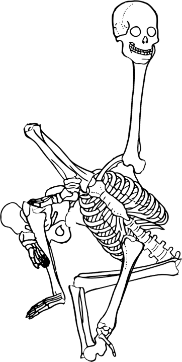 Dem bones dem bones dem – dry bones!