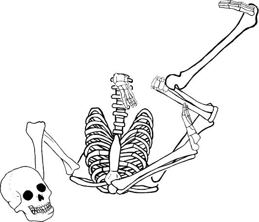 Dem bones dem bones dem – dry bones!