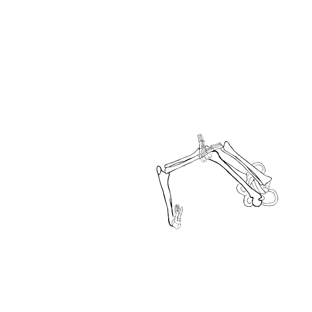 Dem bones dem bones dem – dry bones!