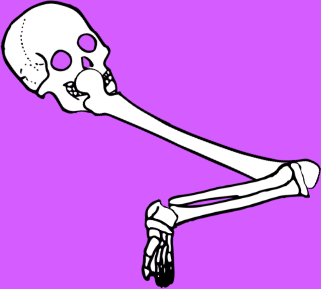 Dem bones dem bones dem – dry bones!