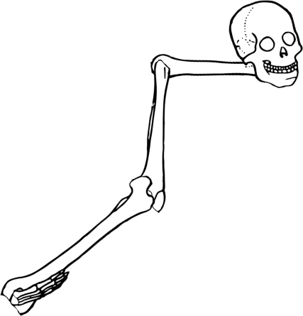 Dem bones dem bones dem – dry bones!