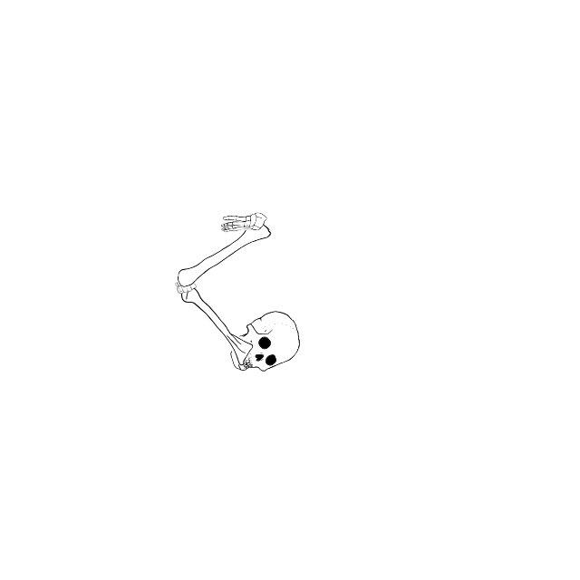 Dem bones dem bones dem – dry bones!
