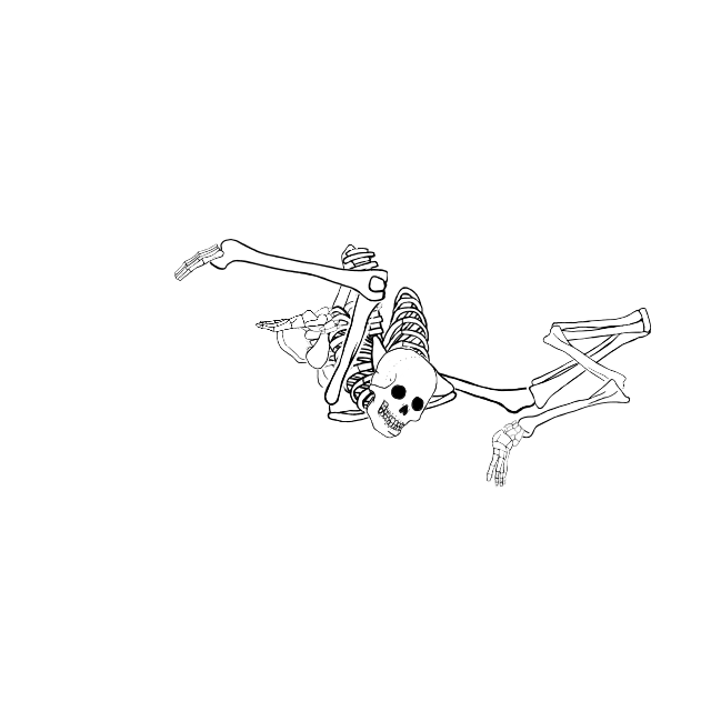 Dem bones dem bones dem – dry bones!