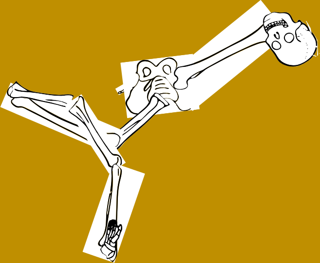 Dem bones dem bones dem – dry bones!