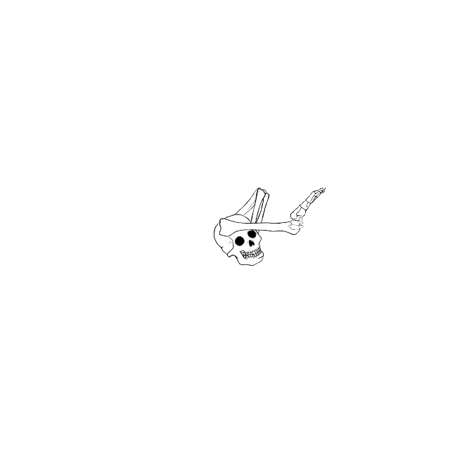 Dem bones dem bones dem – dry bones!