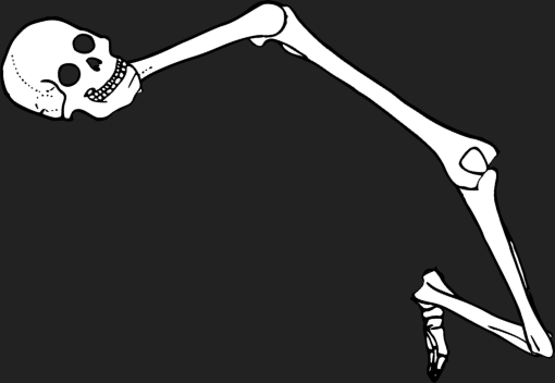 Dem bones dem bones dem – dry bones!