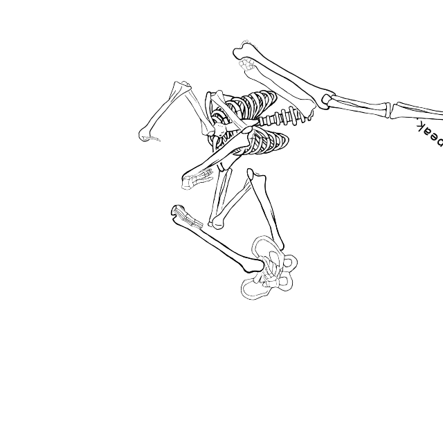 Dem bones dem bones dem – dry bones!