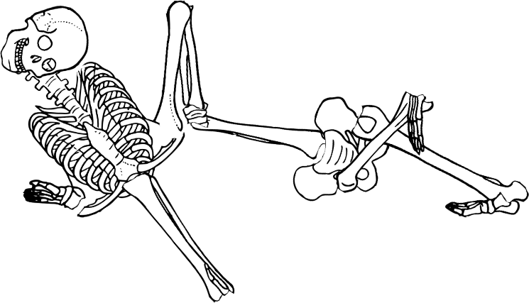 Dem bones dem bones dem – dry bones!