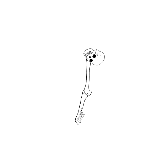 Dem bones dem bones dem – dry bones!