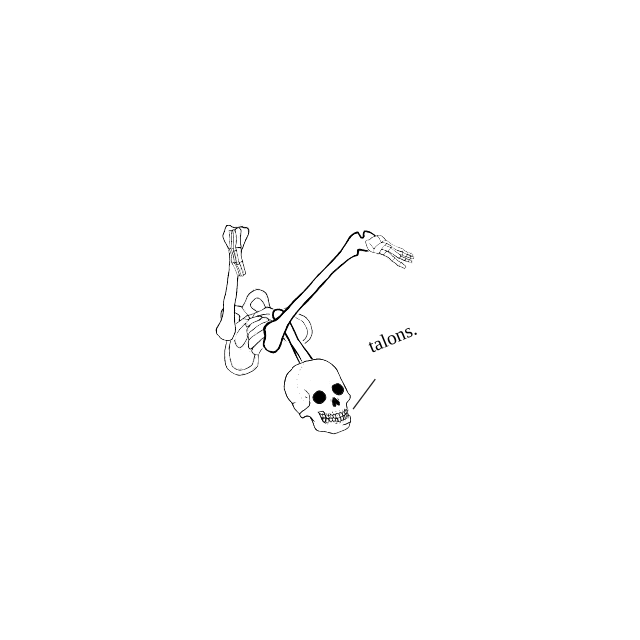Dem bones dem bones dem – dry bones!