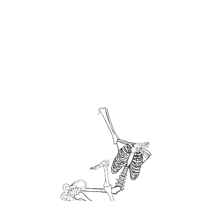 Dem bones dem bones dem – dry bones!