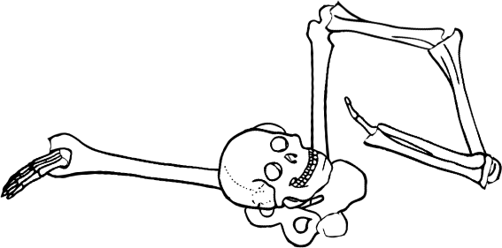 Dem bones dem bones dem – dry bones!