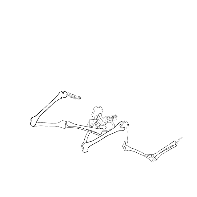 Dem bones dem bones dem – dry bones!