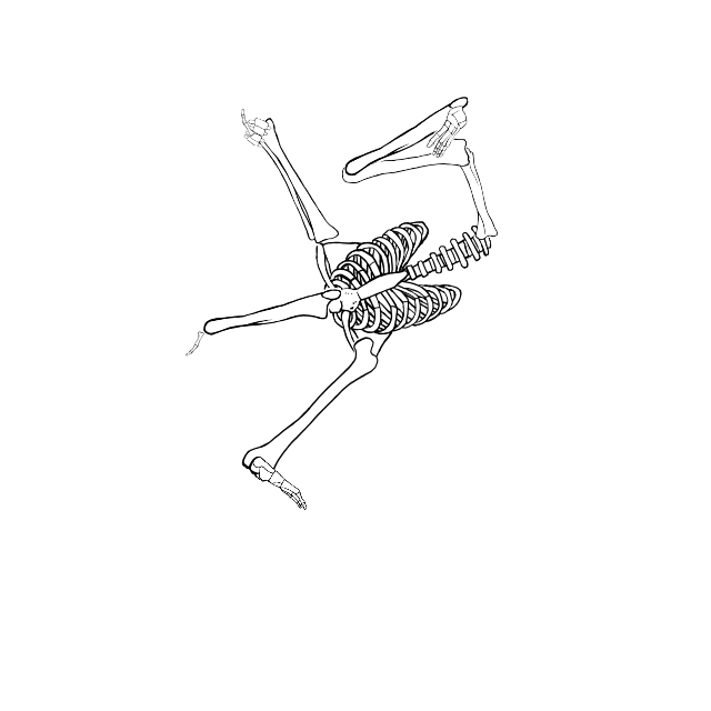 Dem bones dem bones dem – dry bones!
