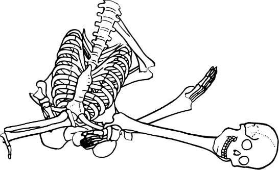 Dem bones dem bones dem – dry bones!
