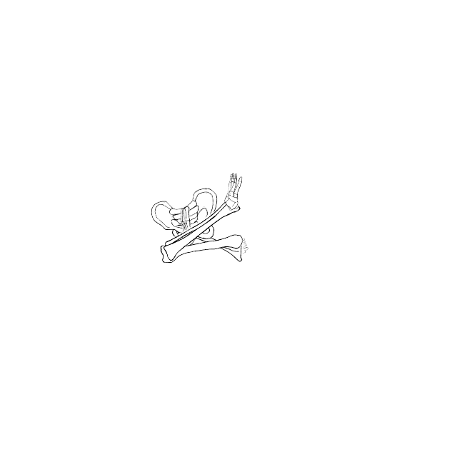 Dem bones dem bones dem – dry bones!