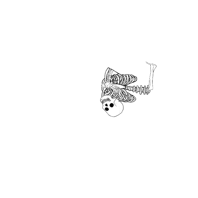 Dem bones dem bones dem – dry bones!